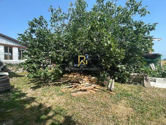 Documento con foto (< 1 Mb)