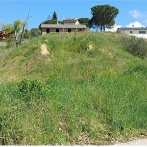 Terreno Agricolo in vendita, loc. collicelli, n. snc, Spoleto