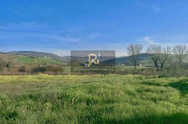 Foto Principale (< 1 Mb)