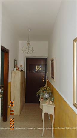 Documento con foto (< 1 Mb)