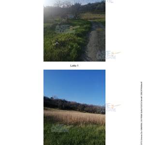 Terreno Agricolo in vendita, Via Santa Maria, Rosora AN, Italia, Rosora