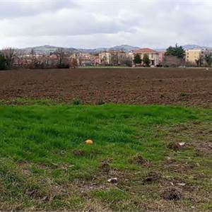 Terreno Agricolo in vendita, Via S. Marco, 61030 Cartoceto PU, Italia, Cartoceto