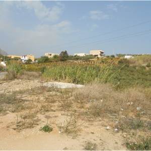 Terreno Agricolo in vendita, Contrada Bosco d'Alcamo, 91011 Alcamo TP, Italia, Alcamo