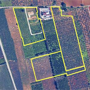 Agricultural Field for sale, Loc. Canalotto - Via Bresciana, snc, Castelvetrano