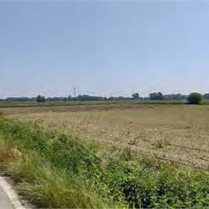 Terreno Agricolo in vendita, nei pressi delle frazioni di Aliarolo e Gerre Ghiozzo snc, Cava Manara