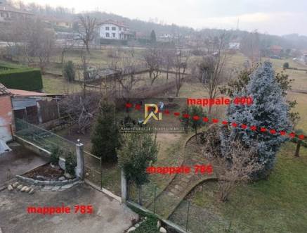 Documento con foto (< 1 Mb)