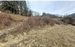 Terreno Agricolo in vendita, Frazione Villa Banale, Stenico