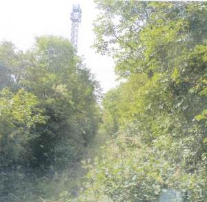 Terreno Agricolo in vendita, 34011 Duino TS, Italia, Duino Aurisina