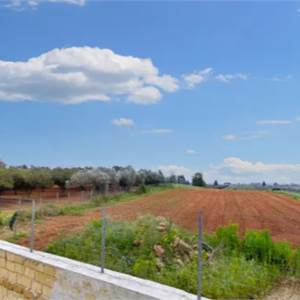 Agricultural Field for sale, Loc. Canalotto - Via Bresciana, N. snc, Castelvetrano