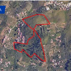 Terreno Agricolo in vendita, Via Montefiascone, 90046 Monreale PA, Italia, Monreale