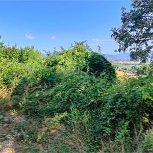 Agricultural Field for sale, 06036 Colle San Clemente PG, Italia, Montefalco