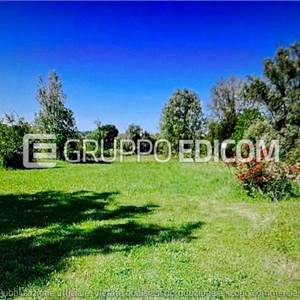 Negozio in vendita, Località farnieta snc, Fabro