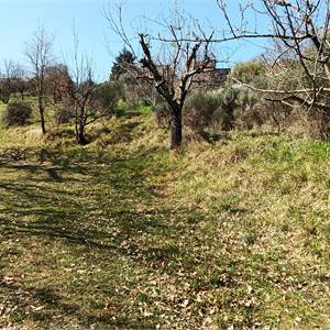 Terreno Agricolo in vendita, Via Carmelo Battaglia, Perugia PG, Italia, Perugia