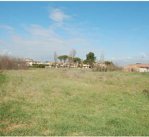 Agricultural Field for sale, 06033 Cannara PG, Italia, Cannara