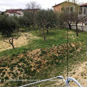 Agricultural Field for sale, Via Fratelli Filippetti, Gualdo Tadino