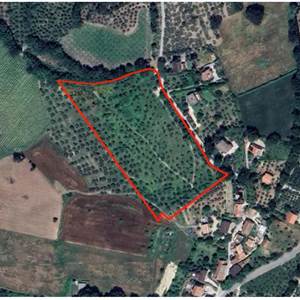 Terreno Agricolo in vendita, Sala-belvedere, SP 443, N. snc, Montefalco