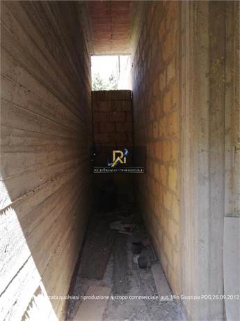 Documento con foto (< 1 Mb)