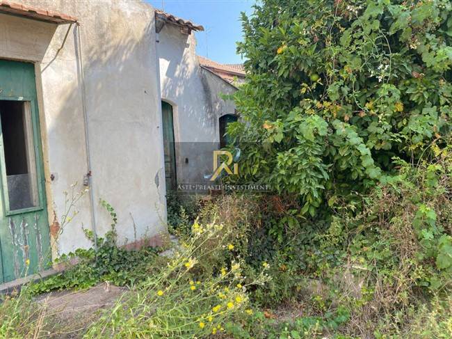 Documento con foto (< 1 Mb)