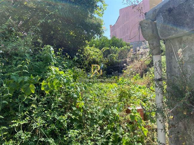 Documento con foto (< 1 Mb)