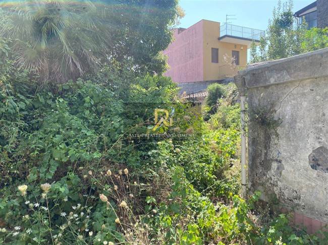 Documento con foto (< 1 Mb)