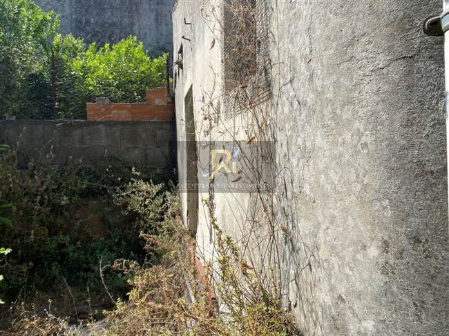 Documento con foto (< 1 Mb)