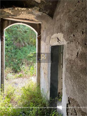 Documento con foto (< 1 Mb)