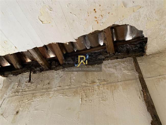 Documento con foto (< 1 Mb)