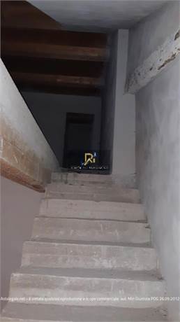 Documento con foto (< 1 Mb)