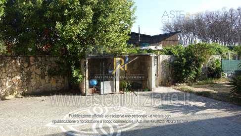 Photo 40