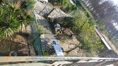Photo 44