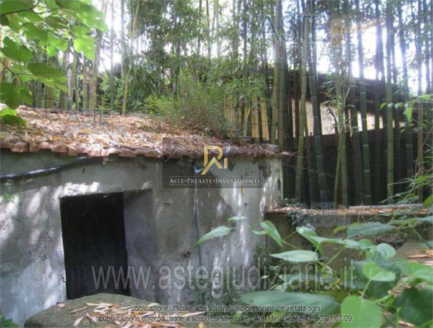 Photo 44