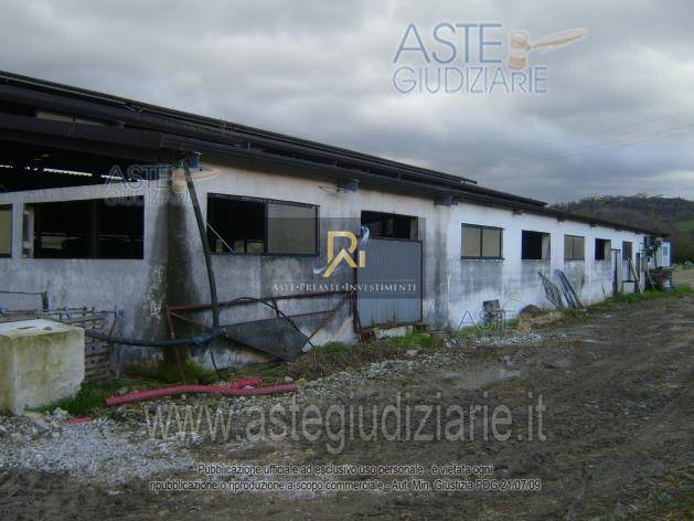 Photo 30