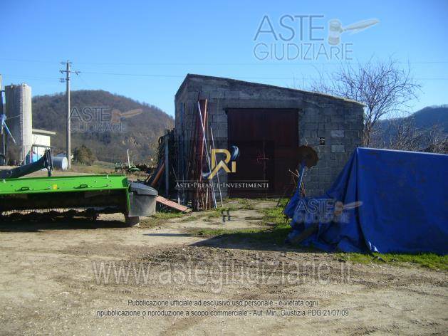 Photo 55