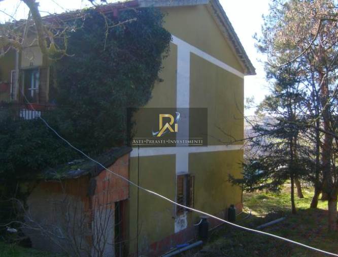 Photo 62