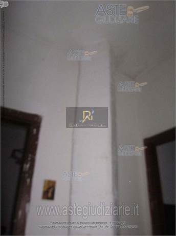 Photo 51