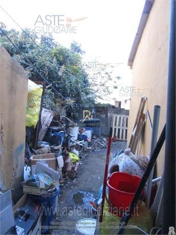 Photo 57