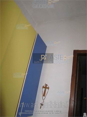 Photo 66