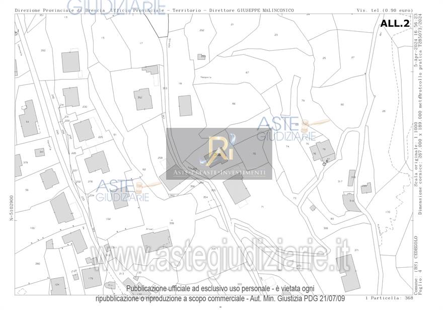 Photo 49