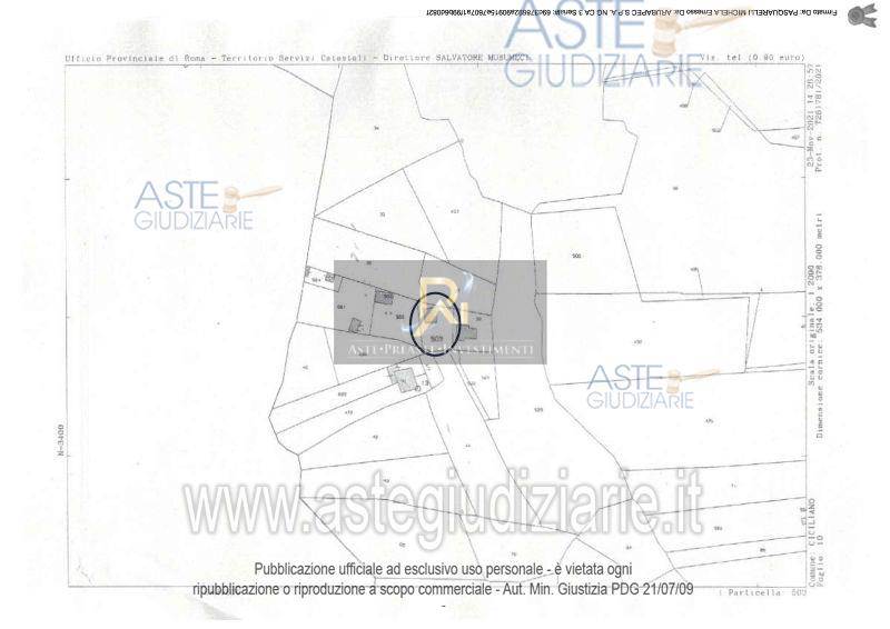 Photo 39