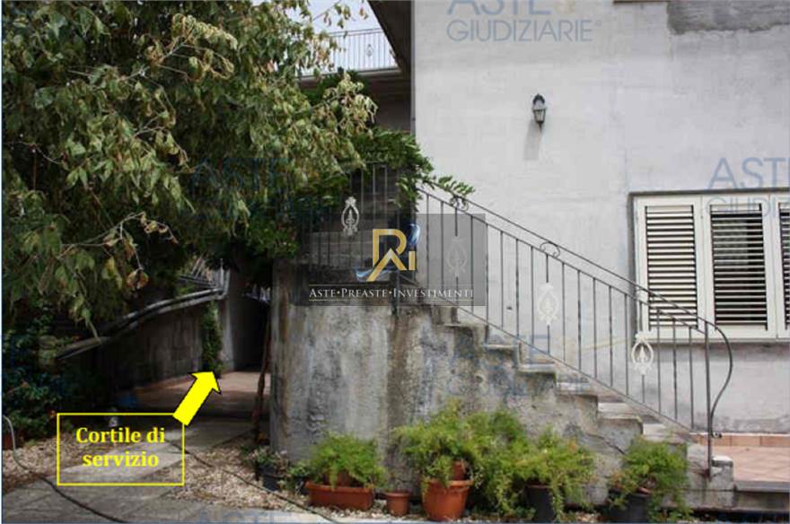 Photo 24
