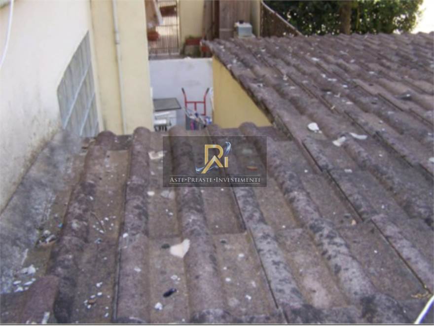 Photo 51