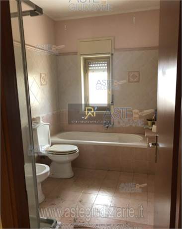 Photo 51