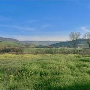 Agricultural Field for sale, Contrada Storno, 63900 Fermo FM, Italia, Fermo