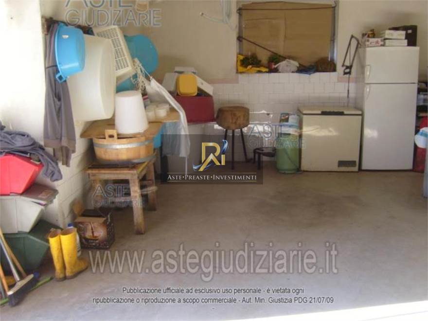 Photo 51