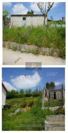 Photo 37