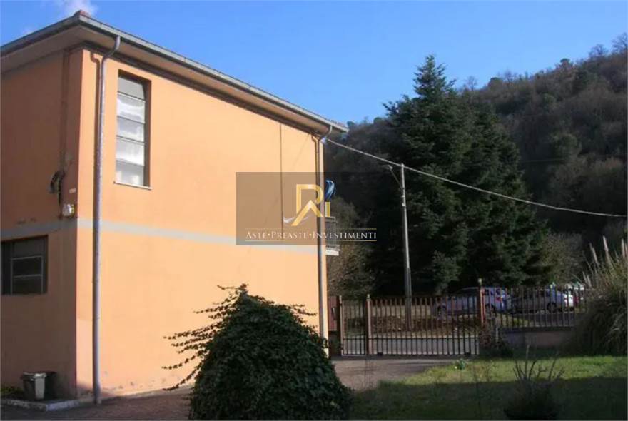 Photo 46