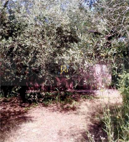 Photo 34