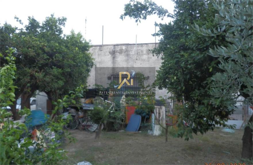Photo 24