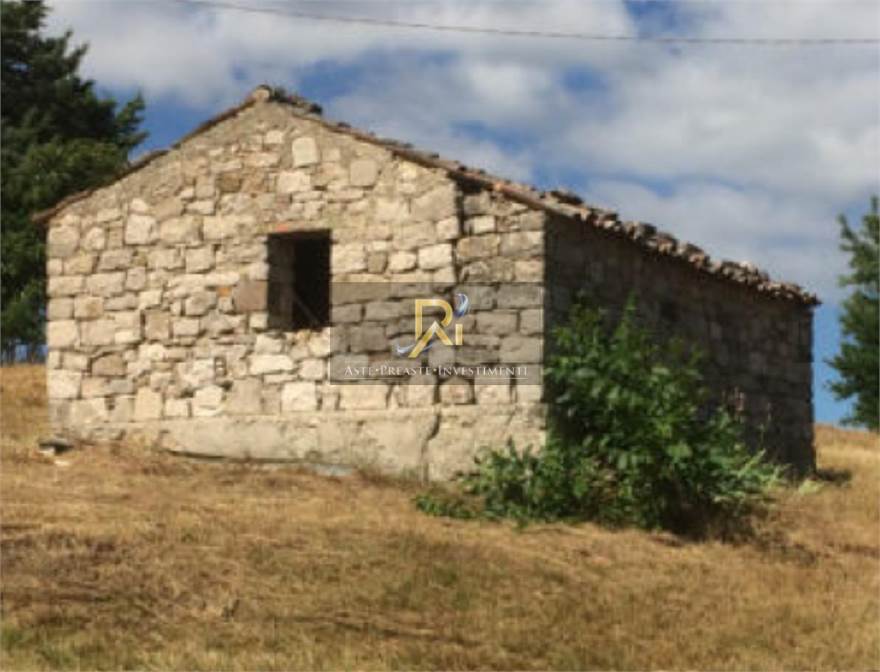 Photo 38
