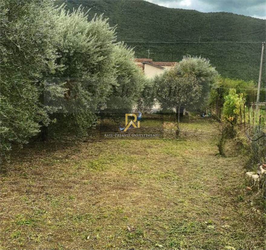 Photo 29